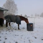 ein Waschkessel erfüllt super den Zweck, das Wasser für die Pferde frostfrei zu halten